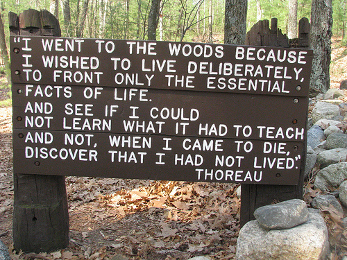 A Day with Henry David Thoreau at Walden Pond